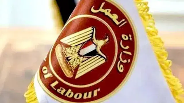 العمل: وظائف بالقاهرة والجيزة والقليوبية و8 محافظات أخرى -(تفاصيل)