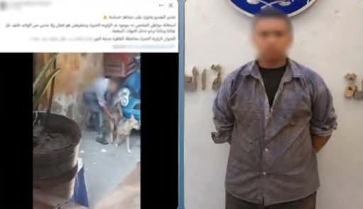 الداخلية تكشف ملابسات تعدي طفل...
