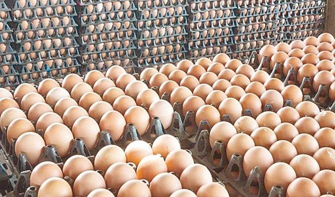 رغم موسم الدراسة.. 33% تراجعا...