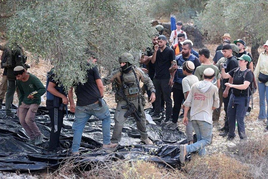 وزير فلسطيني: اعتداءات الاحتلال على أشجار الزيتون تمثل استهدافا للذاكرة والوجود الفلسطيني