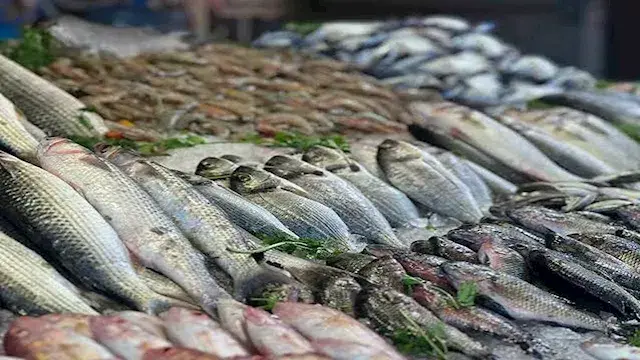 أسعار الأسماك والمأكولات البحر...