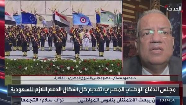 عضو بالشيوخ: الدم واحد بين مصر والسعودية.. والحوثيون يهددون أمن الخليج