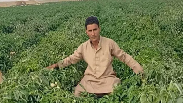 ذهب لتفقد أرضه فعاد في نعش.. ج...