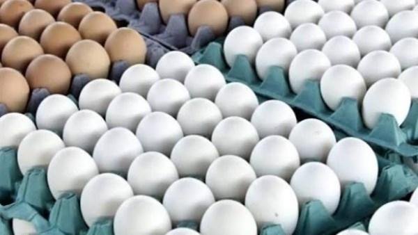 20 جنيه مرة واحدة.. تحرك مفاجئ فى أسعار البيض اليوم السبت