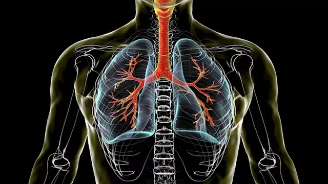 5 مصادر خفية لتلوث هواء المنزل.. أشياء نستخدمها يوميا قد تضر الرئتين