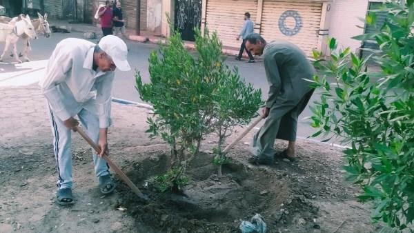 أخبار قنا| مدمن مخدرات ينهى حياة والده المسن.. وإنهاء خصومة ثأرية بين عائلتين بقرية الخطارة
