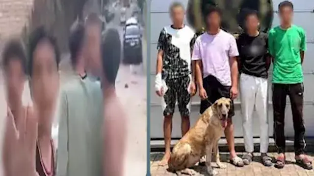 فرض سيطرة بالكلب.. ضبط 4 عاطلي...