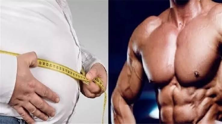 هل تتحول العضلات إلى دهون عند التوقف عن ممارسة الرياضة؟