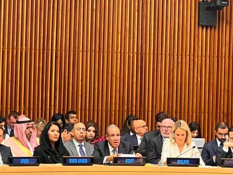 وزير الخارجية يشارك في الاجتماع الوزاري للتحالف العالمي لتنفيذ حل الدولتين