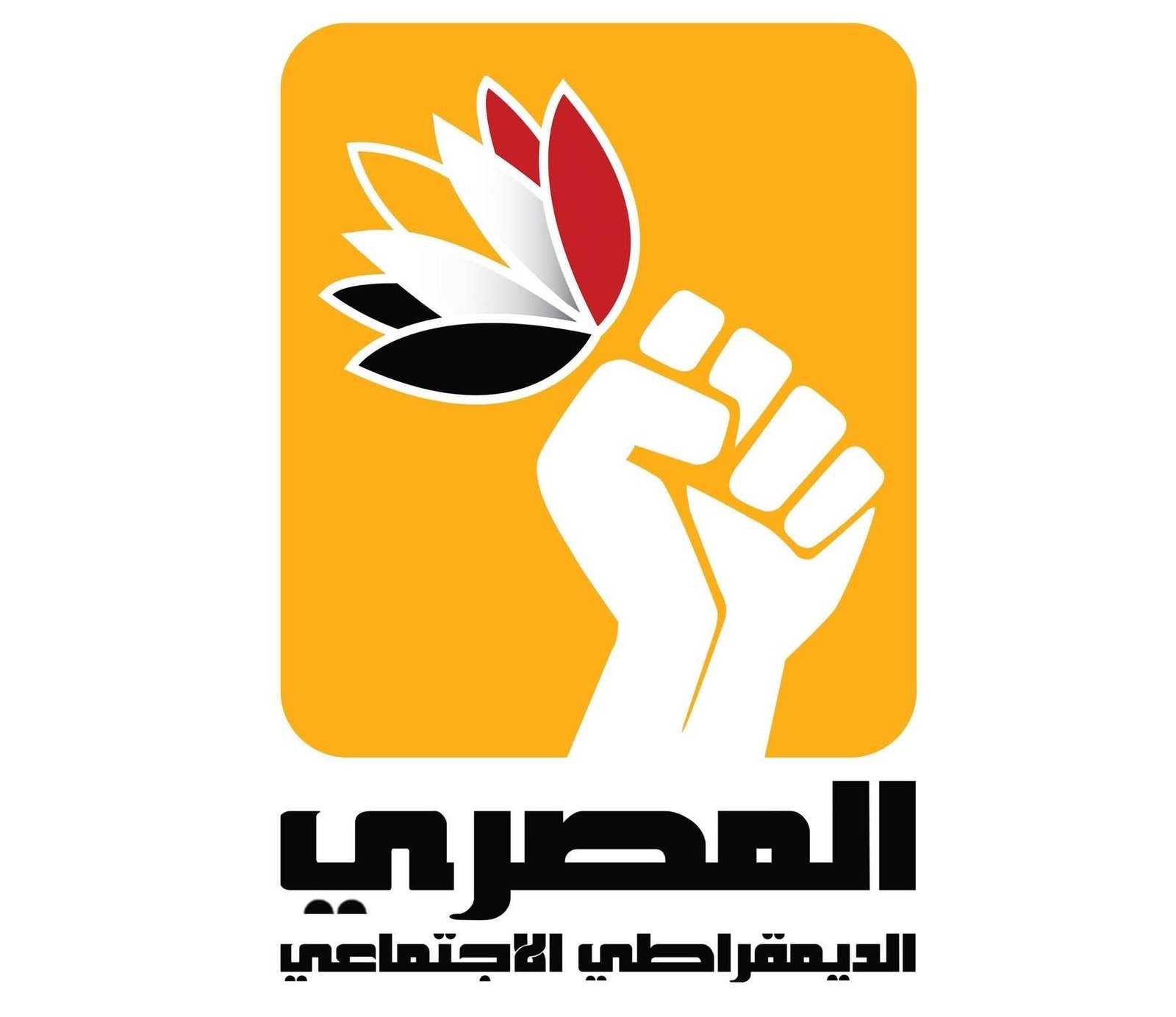 انسحاب راشد وكامل من السباق على رئاسة الحزب المصري الديمقراطي