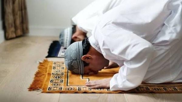 ماذا يفعل الإمام إذا أخطأ في قراءة القرآن ولم يجد من يرد عليه؟.. اعرف التصرف الصحيح