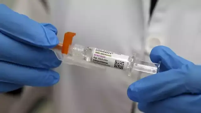 روسيا تطور لقاح جديد للوقاية من التهاب الدماغ المنقول بالقراد
