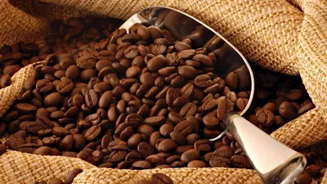 توقعات أن تشرب مصر قهوة بـ330...