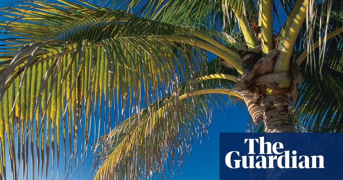 ‘A mockery’: how offshore tax...