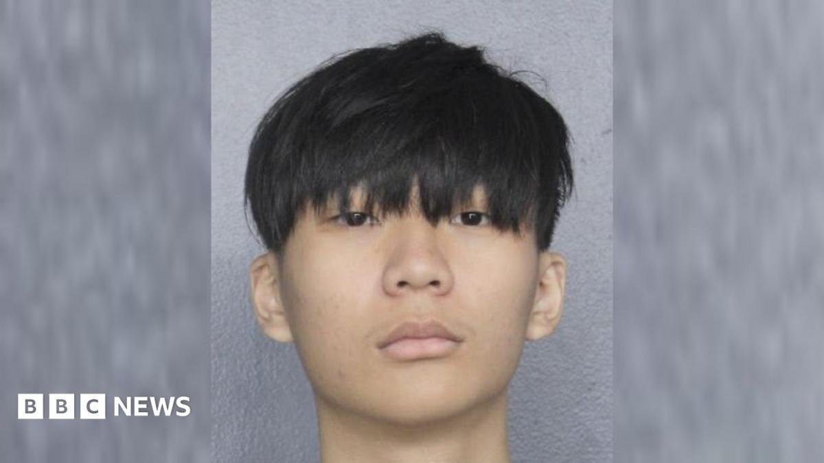 Singaporean man pleads guilty...
