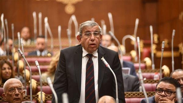 النائب علاء عبدالنبي يطالب بحوار مجتمعي حول قوانين المجالس المحلية والمطورين العقاريين والتحول للدعم النقدي