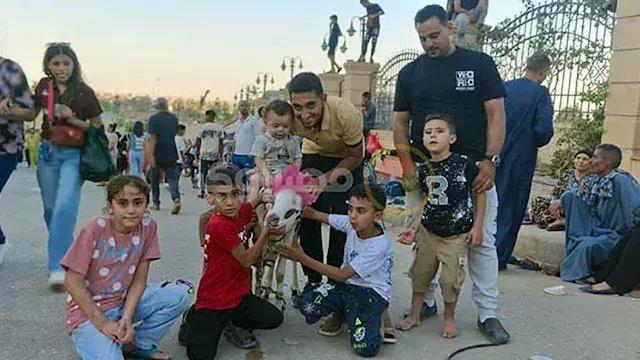 خراف مزينة بالورود ونذور وفاء....