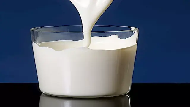هل الحليب يفسد الصيام المتقطع؟ خبير يكشف تأثير المشروبات وتوقيت تناول الطعام