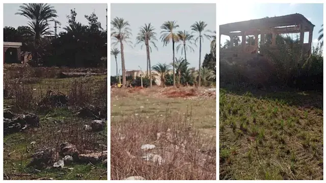 "ملعب الكرة بقى غيط رز" .. شكاوى من أهالي إدفينا ووكيل الشباب بالبحيرة يرد