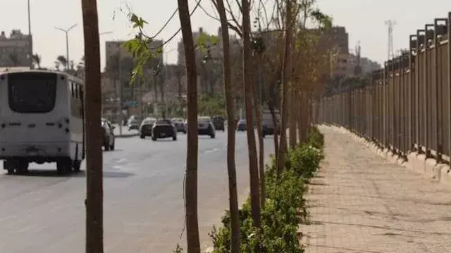 محافظ القاهرة: خطة تخضير العاصمة منظومة متكاملة لزيادة الأكسجين وترشيد المياه