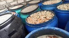ضبط 900 كيلو مخللات مجهولة المصدر وبدون بيانات وفاسدة داخل مصنع بالغربية