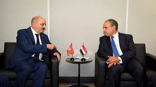 وزير الخارجية يبحث مع نظيره التونسي تطورات غزة وليبيا والسودان
