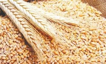 وزير التموين: احتياطي القمح يتجاوز 6 أشهر.. وشحنة 50 ألف طن قادمة من فرنسا
