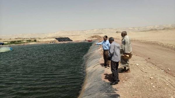 رئيس مركز بلاط بالوادي الجديد يتفقد مشروع استزراع سمكي على طريق تنيدة – منفلوط