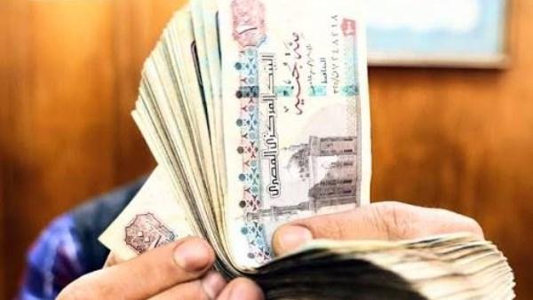 مشروع قانون صندوق دعم الأسرة.. 1000 جنيه للزواج والطلاق و5000 عند الزواج بأخرى