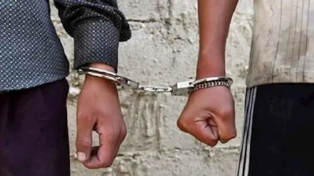 في السلاح والعقارات.. ضبط عنصر...