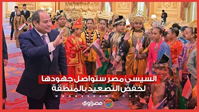 السيسي: مصر ستواصل جهودها لخفض التصعيد بالمنطقة