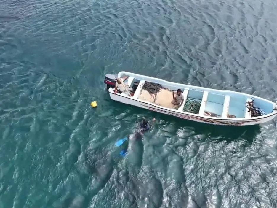 الجيش اليمني يعلن التصدي لـ4 ز...