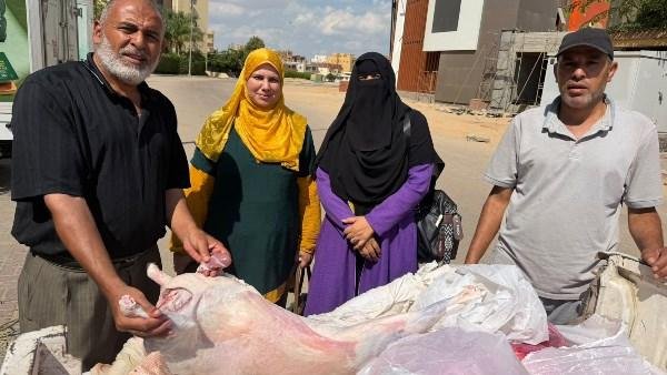 ضبط لحوم ودواجن غير صالحة للاستهلاك الآدمي خلال حملة في المنوفية