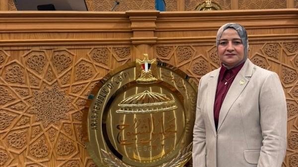 برلماني: أجندة تشريعية متكاملة لتعزيز أمن الطاقة ودعم الصناعة وتحسين بيئة العمل