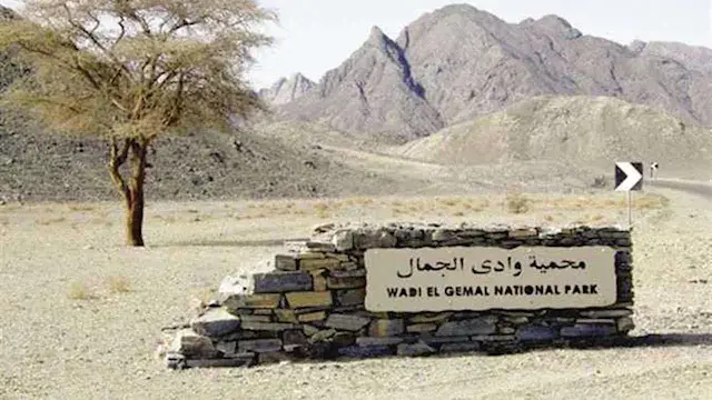 شواطئ كريستالية وكائنات نادرة....
