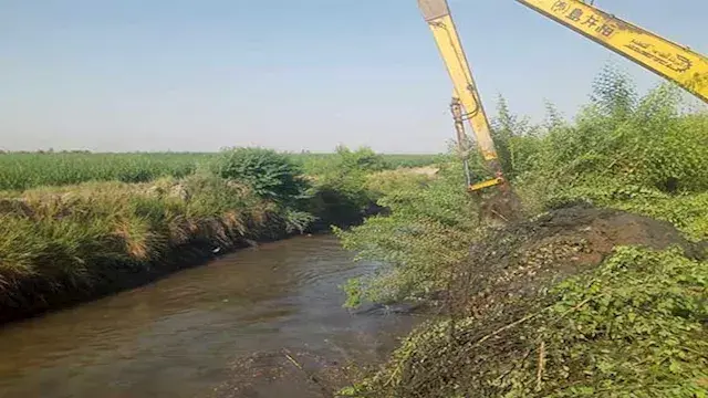 نجاح موسم الري الصيفي.. وكيل ر...