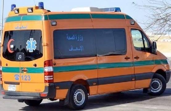 الدقهلية.. إصابة طفلة باشتباه...
