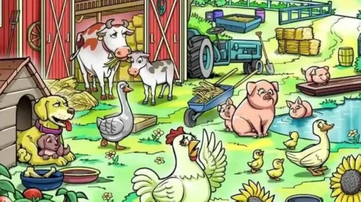 «5 استراحة».. لو أنت ذكى وبتلق...