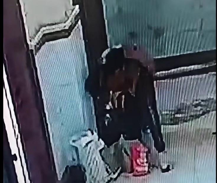 القبض على المتهم بسرقة هاتف عا...