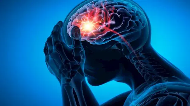 3 نباتات قد تدعم الذاكرة وتحسن وظائف الدماغ.. ماذا تقول الدراسة؟