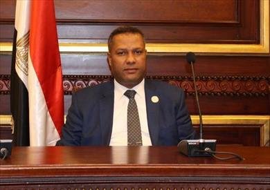 برلماني: زيارة الرئيس الصيني لمصر تعزز الشراكة الاستراتيجية وتفتح آفاقًا جديدة للتنمية والاستثمار