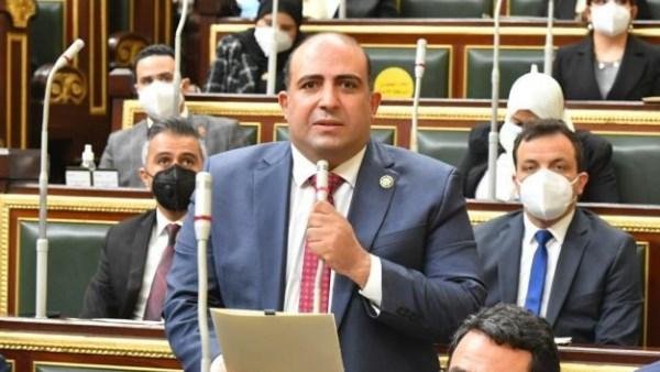 وكيل إفريقية النواب: مصر وضعت القضية الفلسطينية فى بؤرة اهتمامات العالم