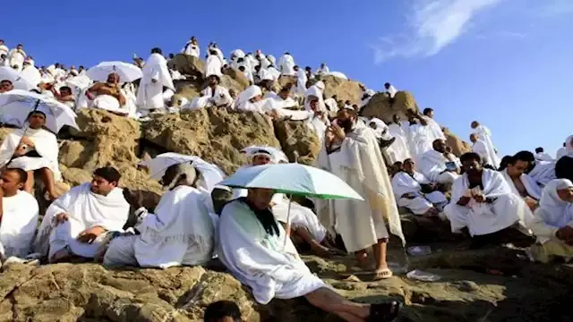 رسميا.. التضامن تعلن فتح باب ا...