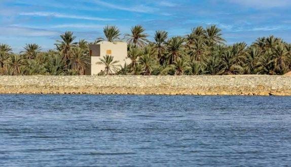 وزير الري: استعادة التوازن البيئي وتحسن حالة الأراضي الزراعية بواحة سيوة