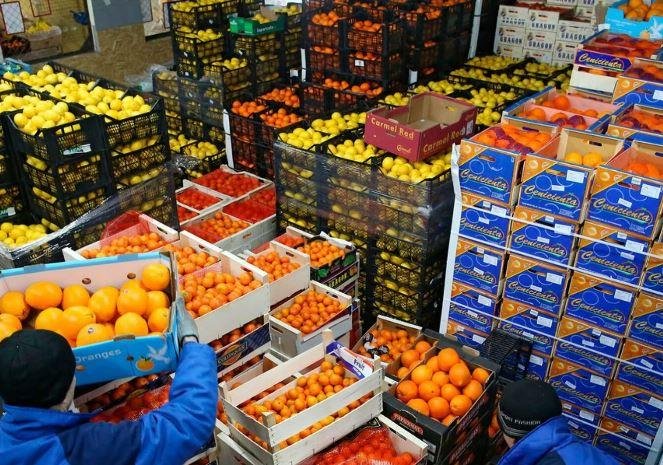 تجاوزت 5 مليارات دولار.. صادرات مصر الغذائية ترتفع 11% خلال أول 8 أشهر من 2026