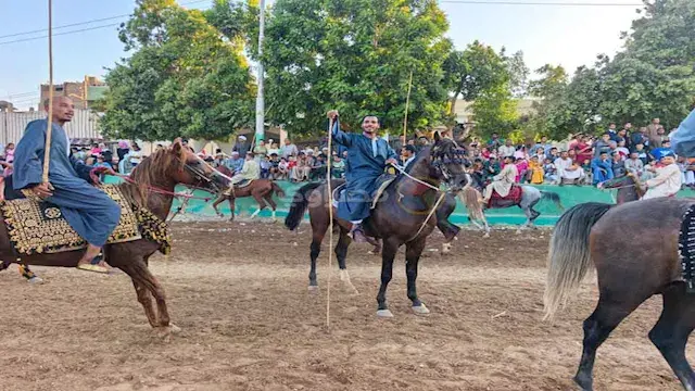 ليه "المرماح" مش مجرد سباق خيل...