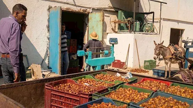 43 جنيهًا للكيلو.. الوادي الجد...