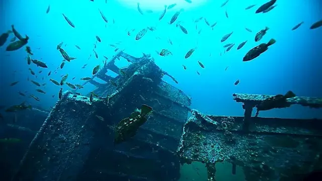 مدن غارقة وحطام سفن.. أغرب أشي...