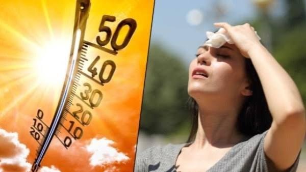 طقس اليوم الإثنين| حار نهاراً مع شبورة وأمطار خفيفة ونشاط للرياح