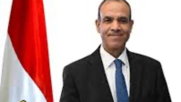 وزير الخارجية: القضية الفلسطينية تمر بمنعطف تاريخي يفرض وحدة الموقف العربي وفاعلية التحرك المشترك